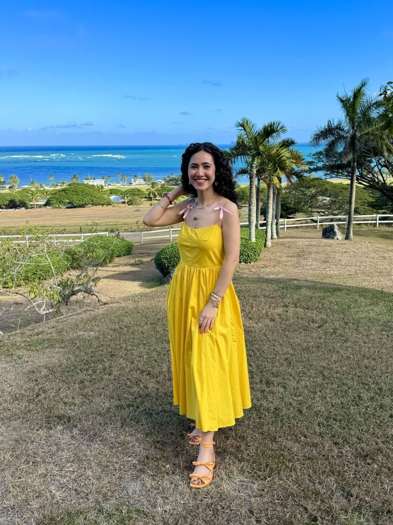 Who Would Win Between Noelle Silva And Megumi Fushiguro?